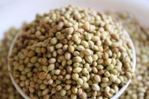 Read more about the article Did you know that Anise Seed is actually a Seed? A blog about the details of this ingredient.